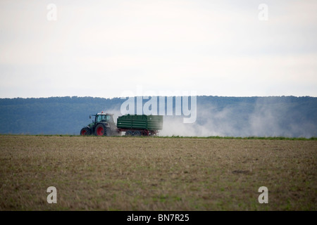 Sommer Im Deister - Felder Sommer in Deutschland Stockfoto