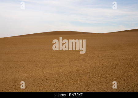 Sommer Im Deister - Felder im Sommer in Deutschland Stockfoto