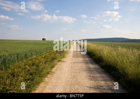 Sommer Im Deister - Felder Sommer in Deutschland Stockfoto