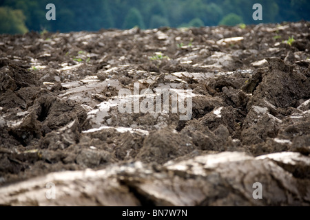 Sommer Im Deister - Felder im Sommer in Deutschland Stockfoto