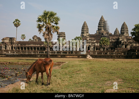 Aufgenommen am Angkor Wat, Kambodscha Stockfoto