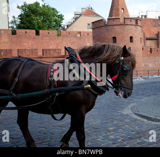 Blick auf die Altstadt von Warschau in Polen ein Pferd zog gegen die Träger auf der gepflasterten Straße zeigt Stockfoto