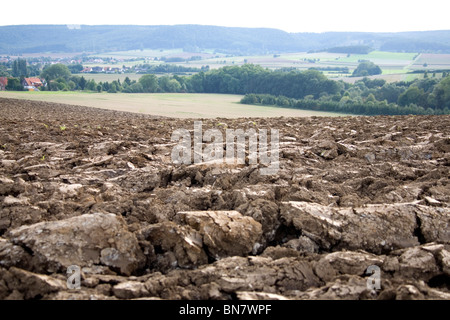 Sommer Im Deister - Felder im Sommer in Deutschland Stockfoto