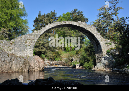 Pack Horse Beerdigung Brücke über den Fluss Dulnain, der älteste Steinbrücke im Hochland Carrbridge, Scotland, UK Stockfoto