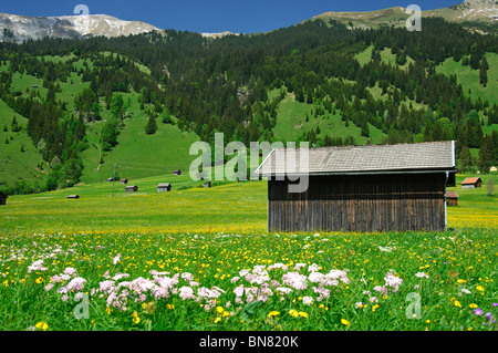 Scheune auf einer Bergwiese nahe dem Dorf von Laehn, Tiroler Zugspitz Arena, Tirol, Österreich Stockfoto