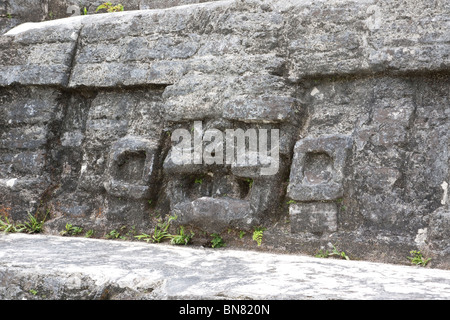 Steinschnitzereien in Altun Ha Ruinen in Belize Stockfoto