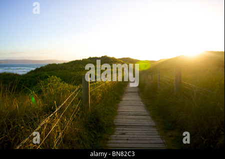 Einen wunderschönen Sommerabend bei Godrevy Strand, gelegen an der Nordküste von Cornwall Stockfoto