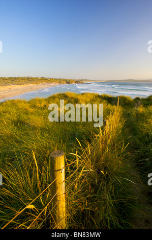 Einen wunderschönen Sommerabend bei Godrevy Strand, gelegen an der Nordküste von Cornwall Stockfoto