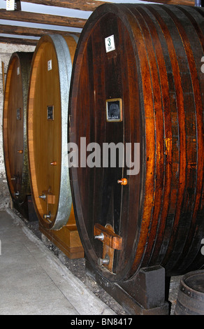 Eichenfass für Gamay rot Wein in einem Weinkeller, Luins, Kanton Waadt, Schweiz Stockfoto
