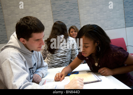 Brooklyn, NY, 2009 - College-Studenten arbeiten und miteinander reden in der Schulbibliothek.  -Modell veröffentlicht. Stockfoto