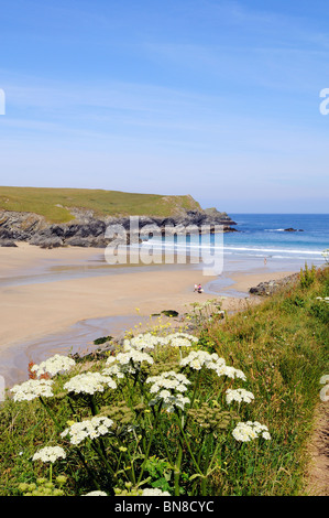 der einsame Strand von Porth Witz in der Nähe von Newquay, Cornwall, uk Stockfoto