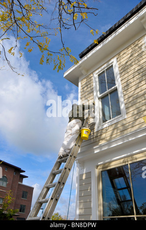 Maler auf Leiter Skaneateles New York Region der Finger Lakes Stockfoto