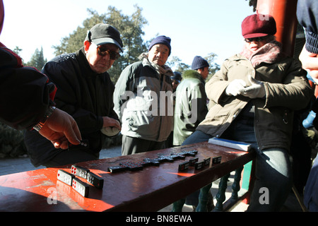 China, Peking, Verbotene Stadt Temple of Heaven Park, Domino Player Stockfoto