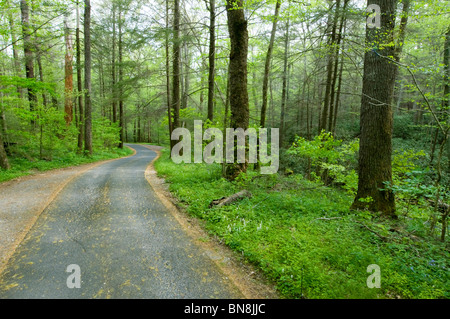 Landstraße Stockfoto