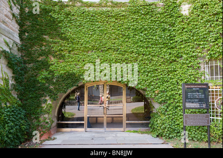 Efeu an McGraw Turm und Cornell Chimes University Campus Ithaca New York Region der Finger Lakes Stockfoto