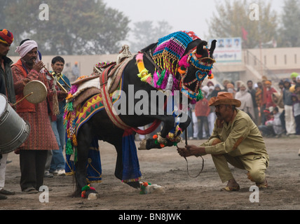 Muktsar Indien Maghi Mela Punjab Pferd tanzen Fair Stockfoto