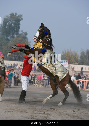 Muktsar Indien Maghi Mela Punjab Pferd tanzen Fair Stockfoto