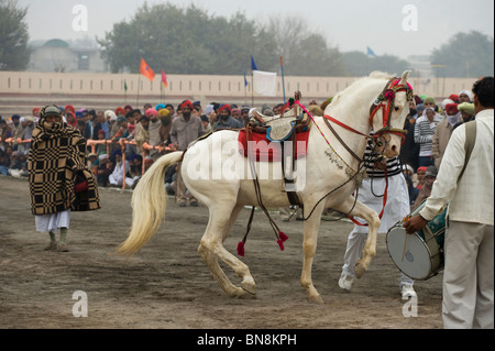 Muktsar Indien Maghi Mela Punjab Pferd tanzen Fair Stockfoto