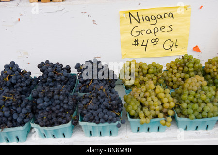 Trauben für den Verkauf am Straßenrand stehen in Finger Lakes Region New York Stockfoto