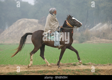 Fair Maghi Mela Punjab Mukstar Indien Sikh Pferd Stockfoto