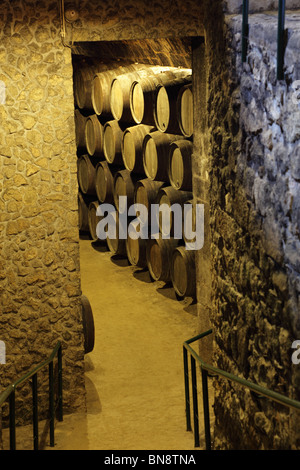 Holzfass in einem alten Weinkeller Stockfoto