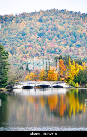 Red House See Allegany State Park New York Stockfoto