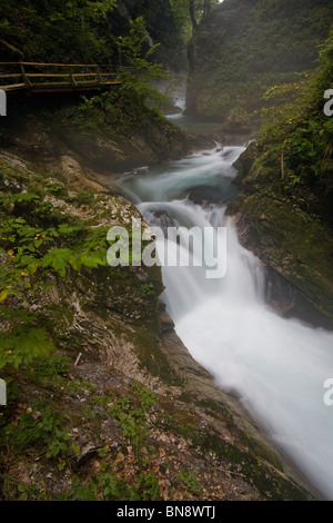 Ein kleiner Wasserfall in der Schlucht Vintgar außerhalb von Bled, Slowenien. Stockfoto