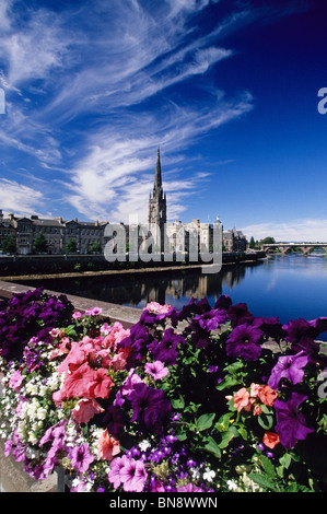 Petunien Blumen, River Tay, Stadt von Perth, Perthshire, Schottland, Großbritannien Stockfoto