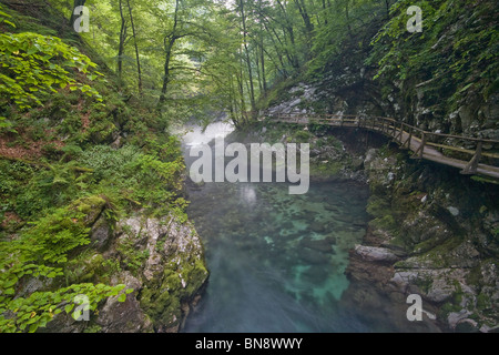 Nebel über einen rauschenden Bach fließt durch die Vintgar-Schlucht außerhalb von Bled, Slowenien. Stockfoto