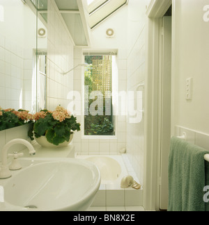 Rosa blühende Zimmerpflanze auf Becken in kleinen modernen weiß gefliesten Bad mit hohen Fenster über schmale Bad Stockfoto