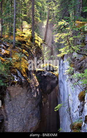 Sonnenlicht und Wasserdampf am Maligne Canyon. Jasper Nationalpark, Alberta, Kanada. Stockfoto