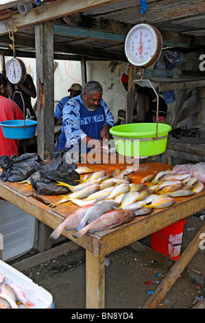 Fischmarkt in der Nähe von Caribbean Cruise Schiff in Belize City Belize Mittelamerika Stockfoto