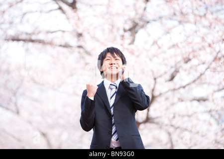 Business Mann auf Handy unter Kirschblüten Stockfoto