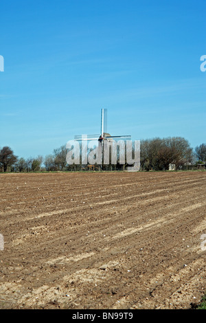 Blick auf die Moulin de Coquelles von über Felder während der frühen Frühling, Coquelles in der Nähe von Calais, Pas-de-Calais, Frankreich Stockfoto