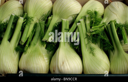 Birne-Fenchel Stockfoto