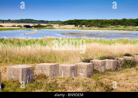 Minsmere RSPB Reserve; Suffolk Stockfoto