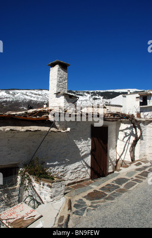 Reihenhäuser mit Schnee bedeckt Berge nach hinten, Capileira, Las Alpujarras, Provinz Granada, Andalusien, Südspanien, Westeuropa Stockfoto