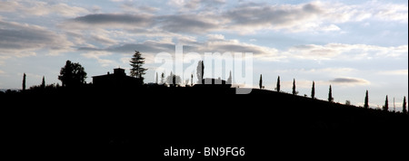 Sonnenaufgang am toskanischen Rebhang Dawn Over A Stockfoto