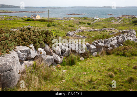 Stein-Mauer aus großen Felsbrocken, Kilkieran, Co. Galway, Irland Stockfoto