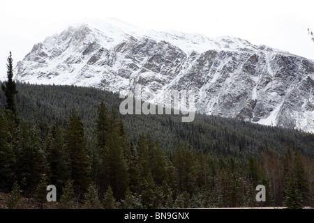 Blick auf den Icefield Parkway zwischen Jasper und Lake Louise - Banff Nationalpark, Alberta - Kanada Stockfoto