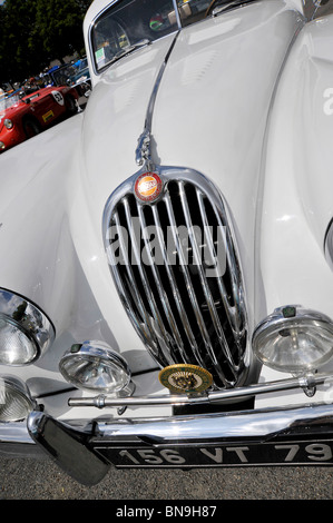 Oldtimer Jaguar XK140 Le Mans auf dem Display an Bressuire Deux-Sèvres Frankreich Stockfoto