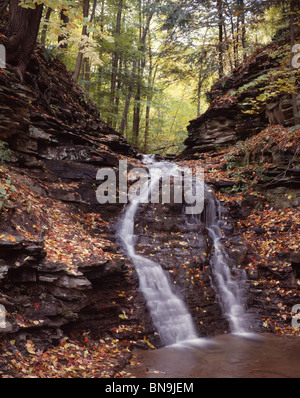 Wasserfall im Herbst, NY Stockfoto