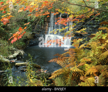 Wasserfall im Herbst, NY Stockfoto