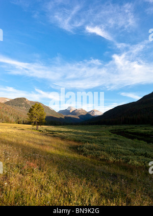 Sonnenuntergang über den Bergen hohe Uintas an Weihnachten Wiesen in den Wasatch-Cache National Forest, Utah. Stockfoto