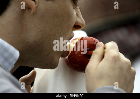 Mann beisst in einen roten Apfel Toffee, Oktoberfest München Stockfoto