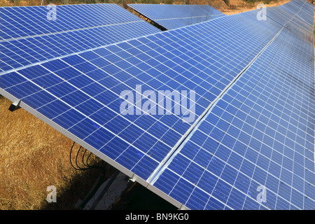 Solarplatten grüne Perspektive Ökologie elektrische Energieversorgung Stockfoto