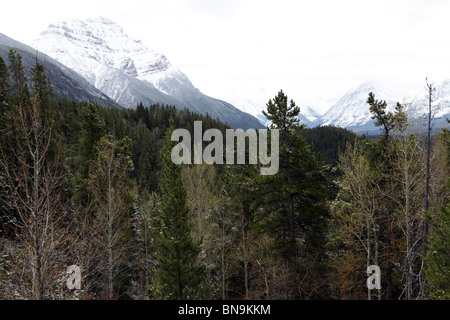 Blick auf den Icefield Parkway zwischen Jasper und Lake Louise - Banff Nationalpark, Alberta - Kanada Stockfoto