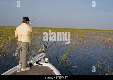 Ein Angler fischt eine weiche Kunststoff-Köder in den dichten Betten von Binsen und Sawgrass in Lake Okeechobee (FL), einen Largemouth Bass zu täuschen. Stockfoto