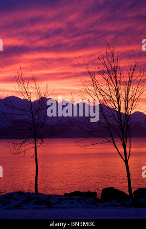 Sonnenaufgang über Resurrection Bay, Seward, Alaska. Stockfoto