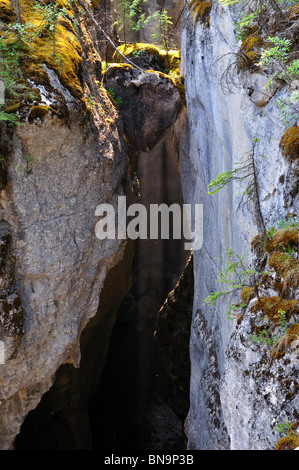 Sonnenlicht durch Maligne Canyon. Jasper Nationalpark, Alberta, Kanada. Stockfoto